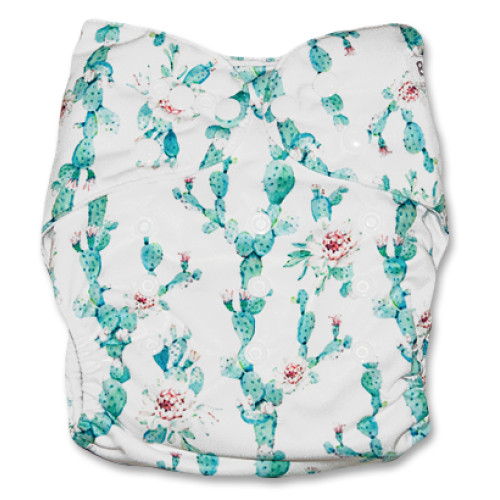 F137 Cactus with Flowers Ai1