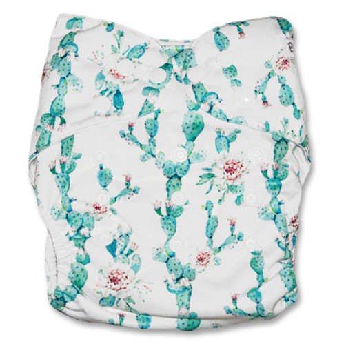 F137 Cactus with Flowers Ai1