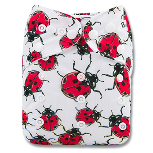 F225 Ladybug Beetle Print Ai1