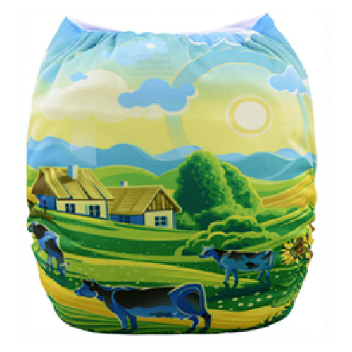 C030 Green Valley Position Print