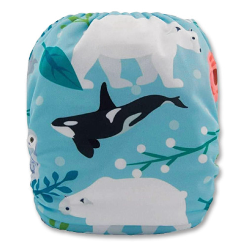 C084 Killer Whale, Polar Bear & Seals Position  Print