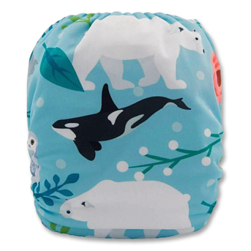 C084 Killer Whale, Polar Bear & Seals Position  Print