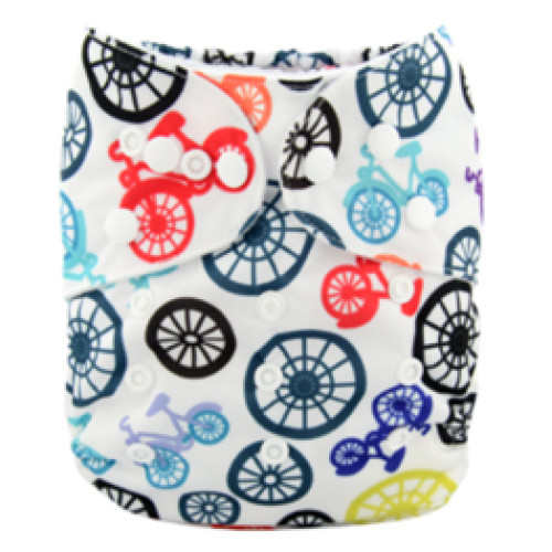 B027 Bicycles Print