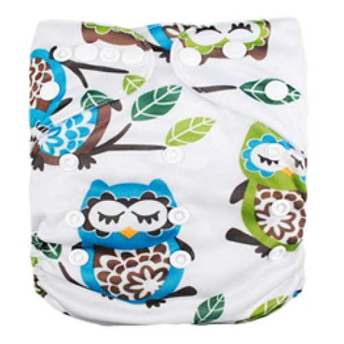 B029 Sleepy Owls