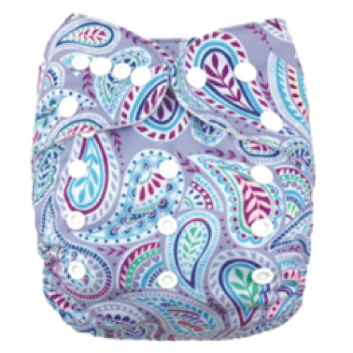 B048 Blue Paisley