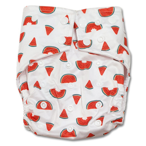 G040 Watermelon Slices Sleeve