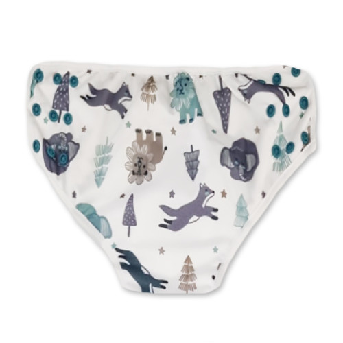 Grey Aqua Lions Ellies Foxes Training Pants